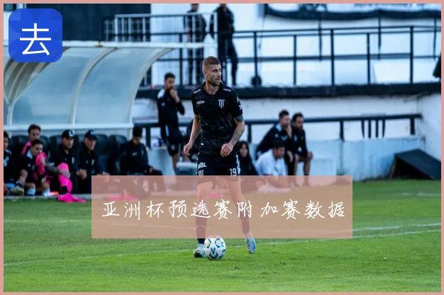 亚洲杯预选赛附加赛数据