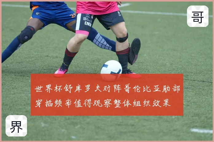 世界杯舒库罗夫对阵哥伦比亚肋部穿插频率值得观察整体组织效果