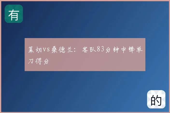 莱切vs桑德兰：客队83分钟中锋单刀得分